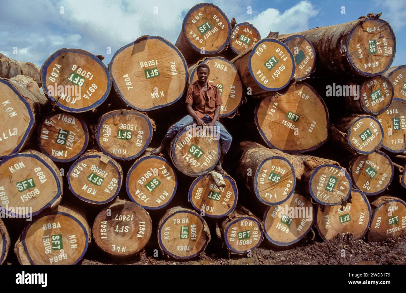 Ivory Coast, Abidjan; Man sitting on a pile of hardwood logs Stock Photo Alamy