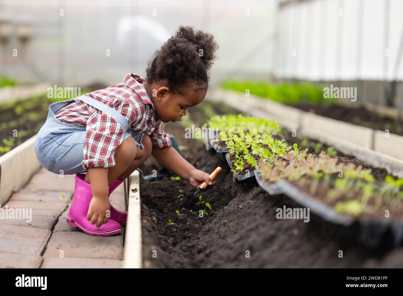 African black child playing planting the green tree gardening in agriculture farm. Children love nature concept. Stock Photo