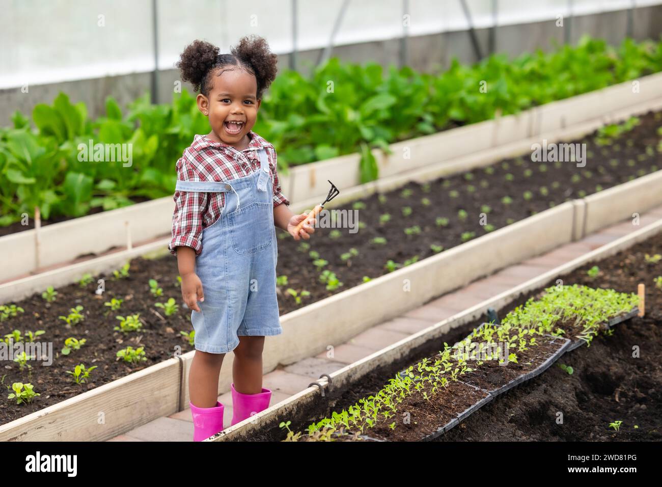 African black child playing planting the green tree gardening in agriculture farm. Children love nature concept. Stock Photo