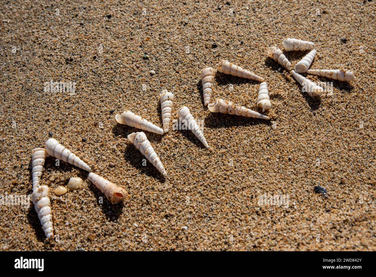 Oceanic love: 'Amor' expressed in white seashells on sandy shores, a poetic embrace by the sea Stock Photo