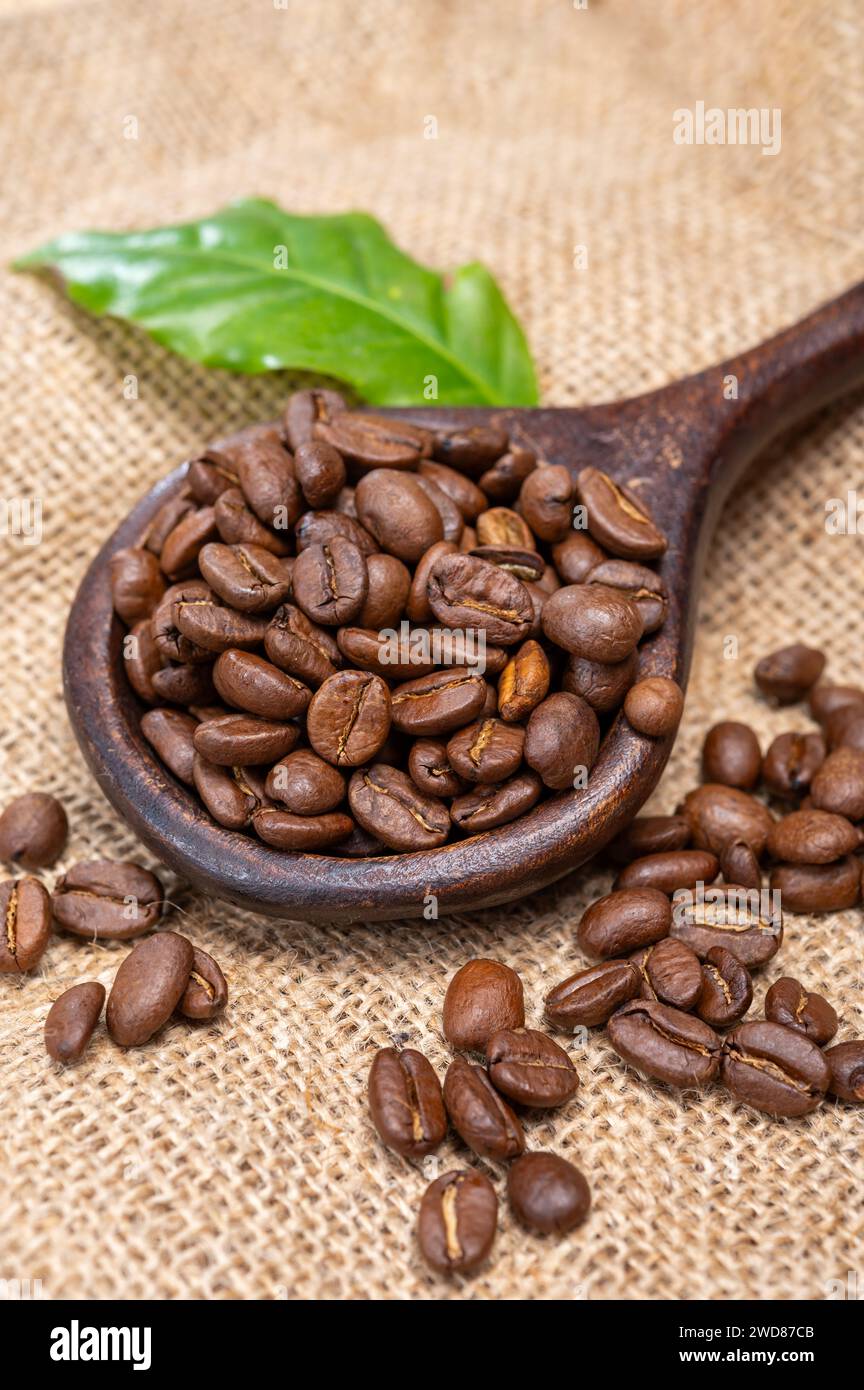 Arabica brown roasted coffee beans from Africa coffee producing region, cultivating in Ethiopia, Ivory Coast, Uganda, Kenya, Rwanda and Tanzania, clos Stock Photo