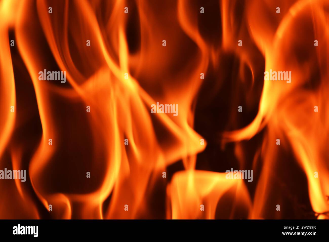 Flames of fire, the rapid oxidation of fuel, releasing heat, light, flames. The flame is the visible portion of fire with various colors and intensity Stock Photo