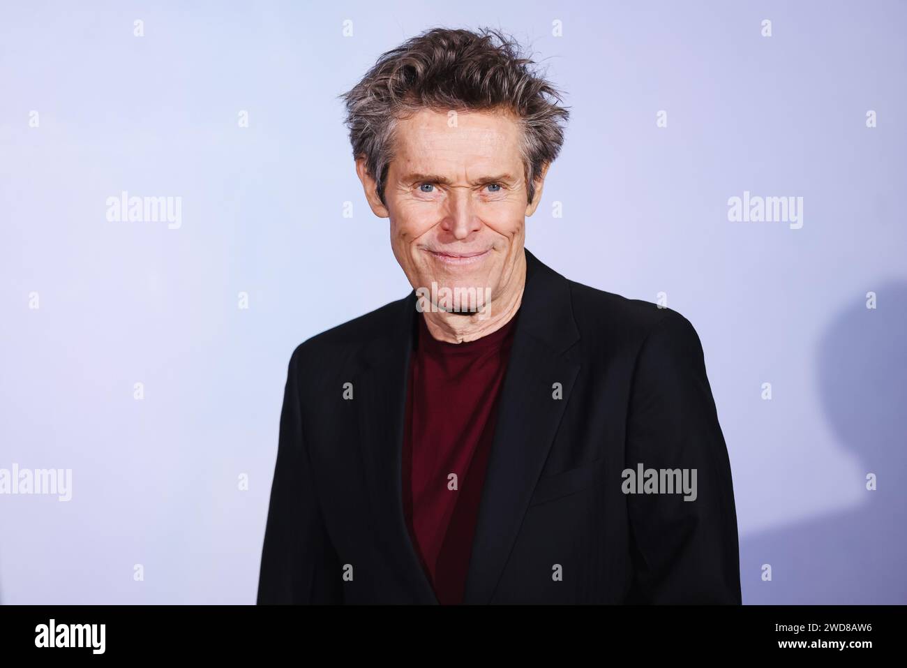 News - Photocall Movie Povere Creature Annandrea Vitrano during the  photocall of the movie Povere Creature, 16 january 2024 at Cinema  Barberini, Rome, Italy Italy Copyright:  xcxEmanuelaxVertolli/SportReporterx/xLiveMediax LPN 1199628 Stock Photo -  Alamy