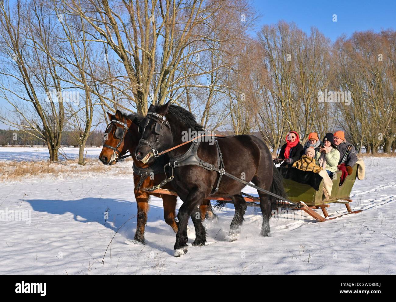 Stable Germany Schneeberg, Germany. 19th Jan, 2024. Guests at Richter Riding Stables ...