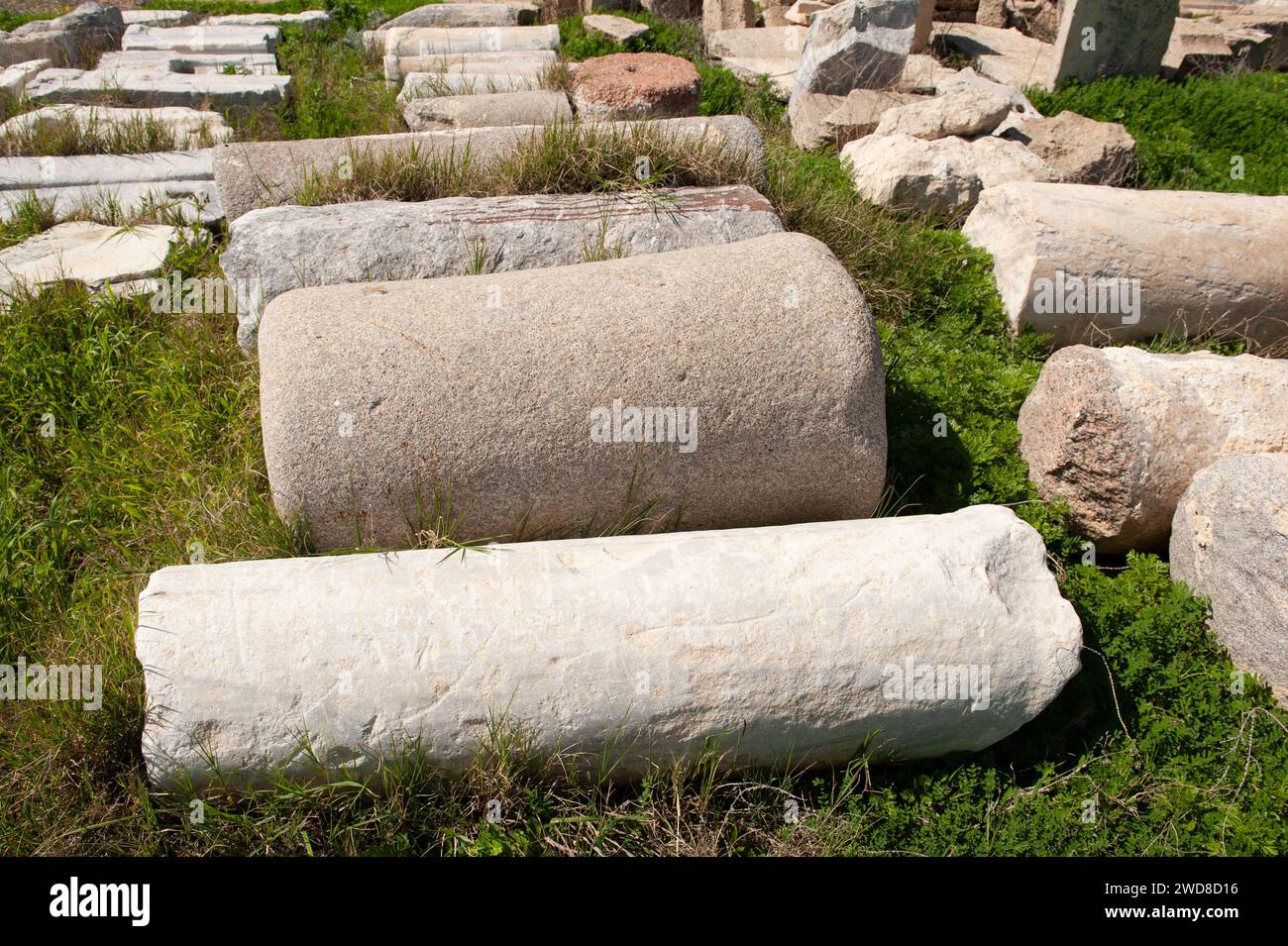 Fallen stone and marble column ruins lie in the grass in Caesarea Maritima National Park, Caesarea, Israel. Stock Photo