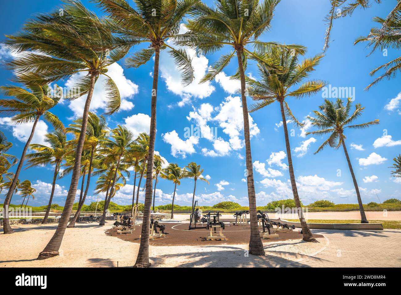 Beach outdoor gym in South Beach, Miami Beach, Florida. United States