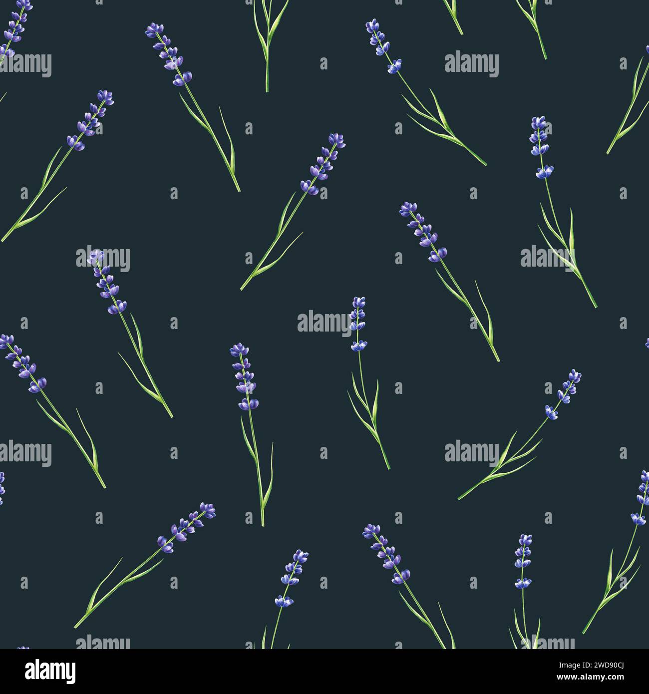 Watercolor seamless pattern with lavender illustration isolated on ...
