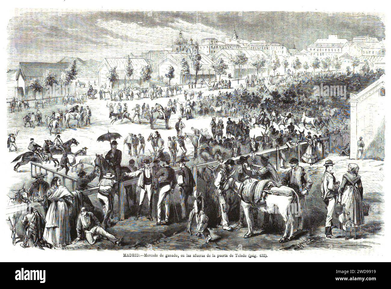 Mercado de ganado ganado hires stock photography and images Alamy