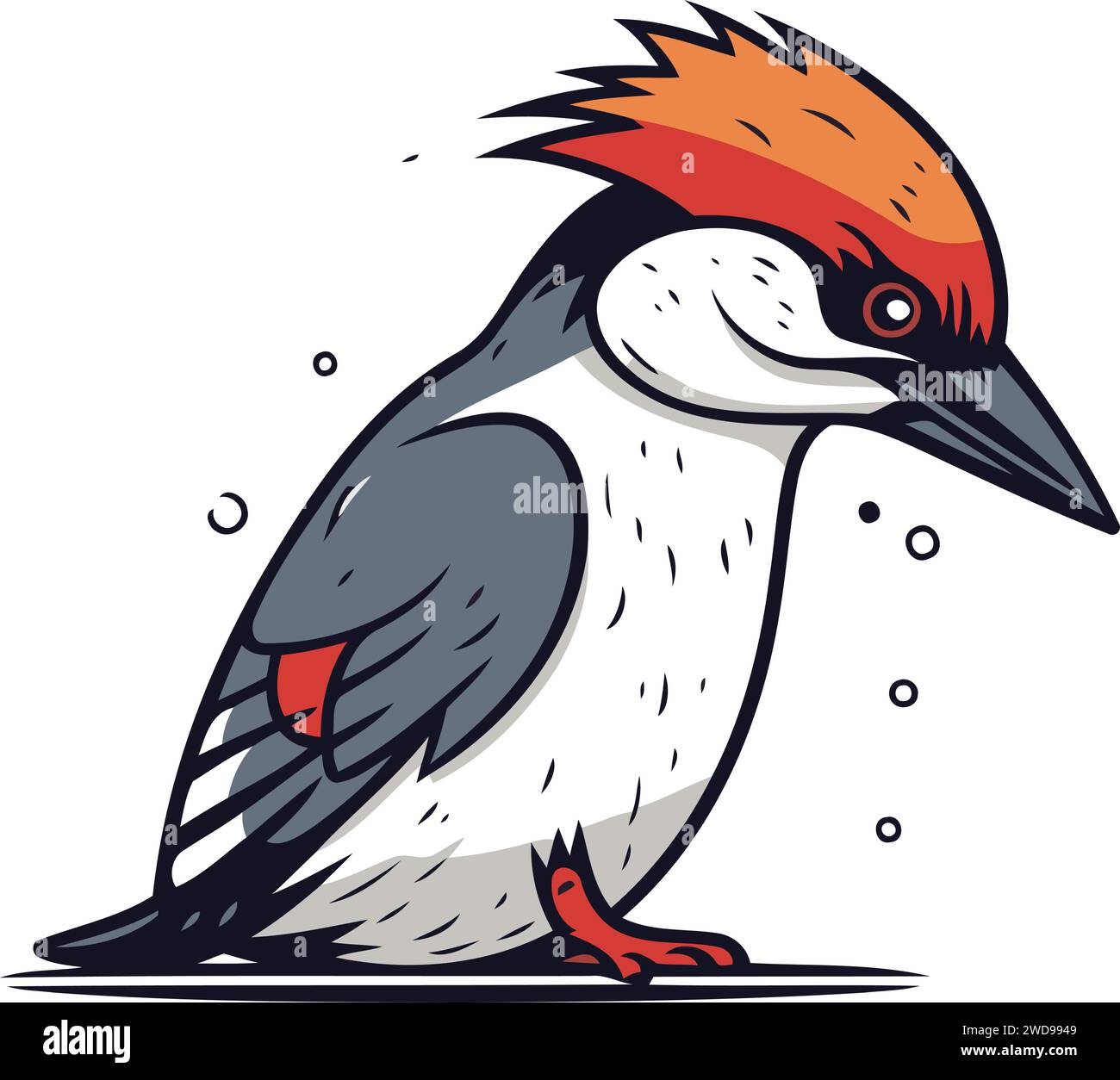 Hand drawn illustration kingfisher Stock Vector Images - Alamy