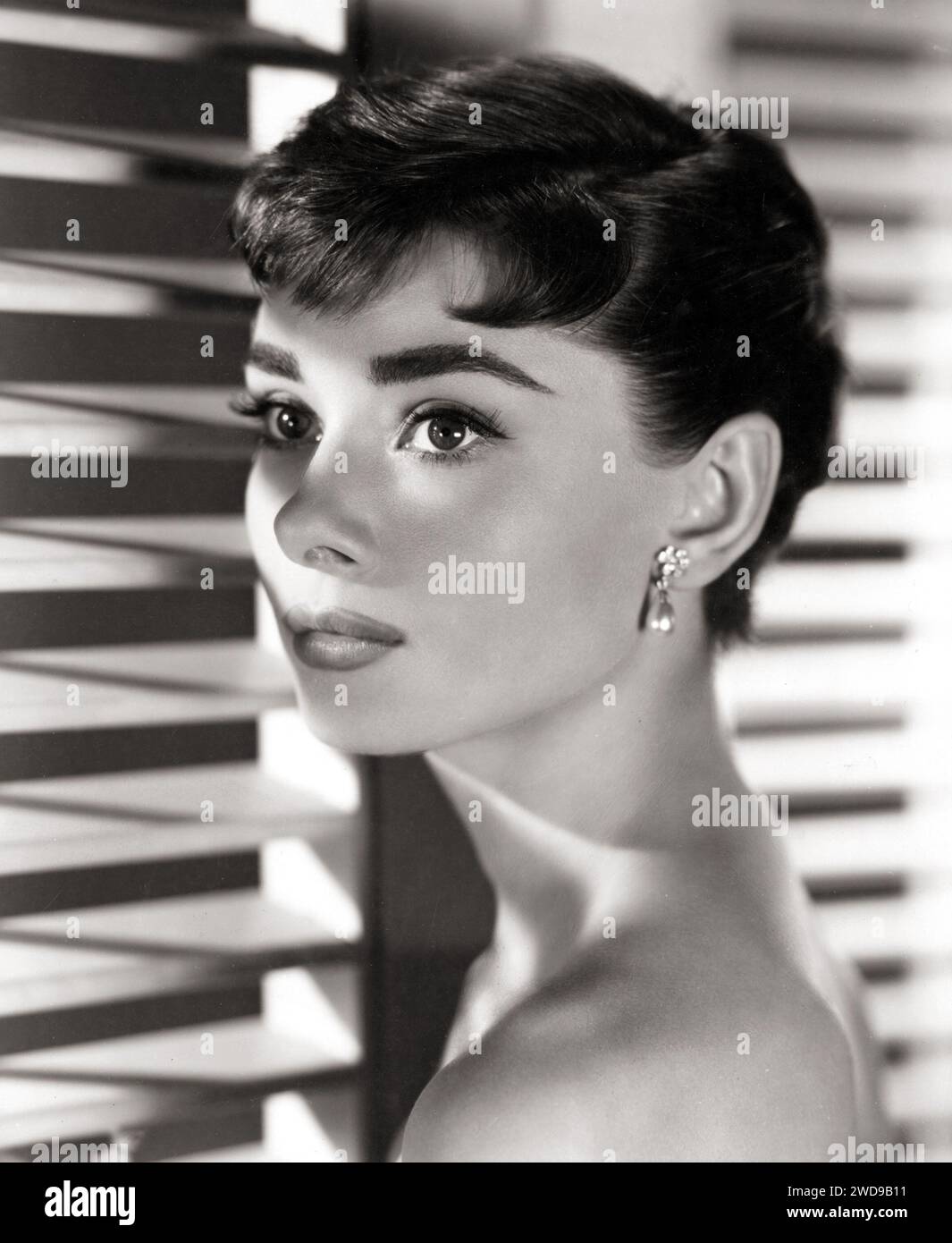 Audrey Hepburn in 'Sabrina' (1954). Portrait Photo Stock Photo