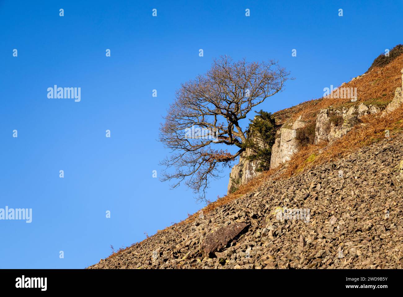 Views from Helm Crag, Lake District, Cumbria, England, UK, GB, Europe. Stock Photo