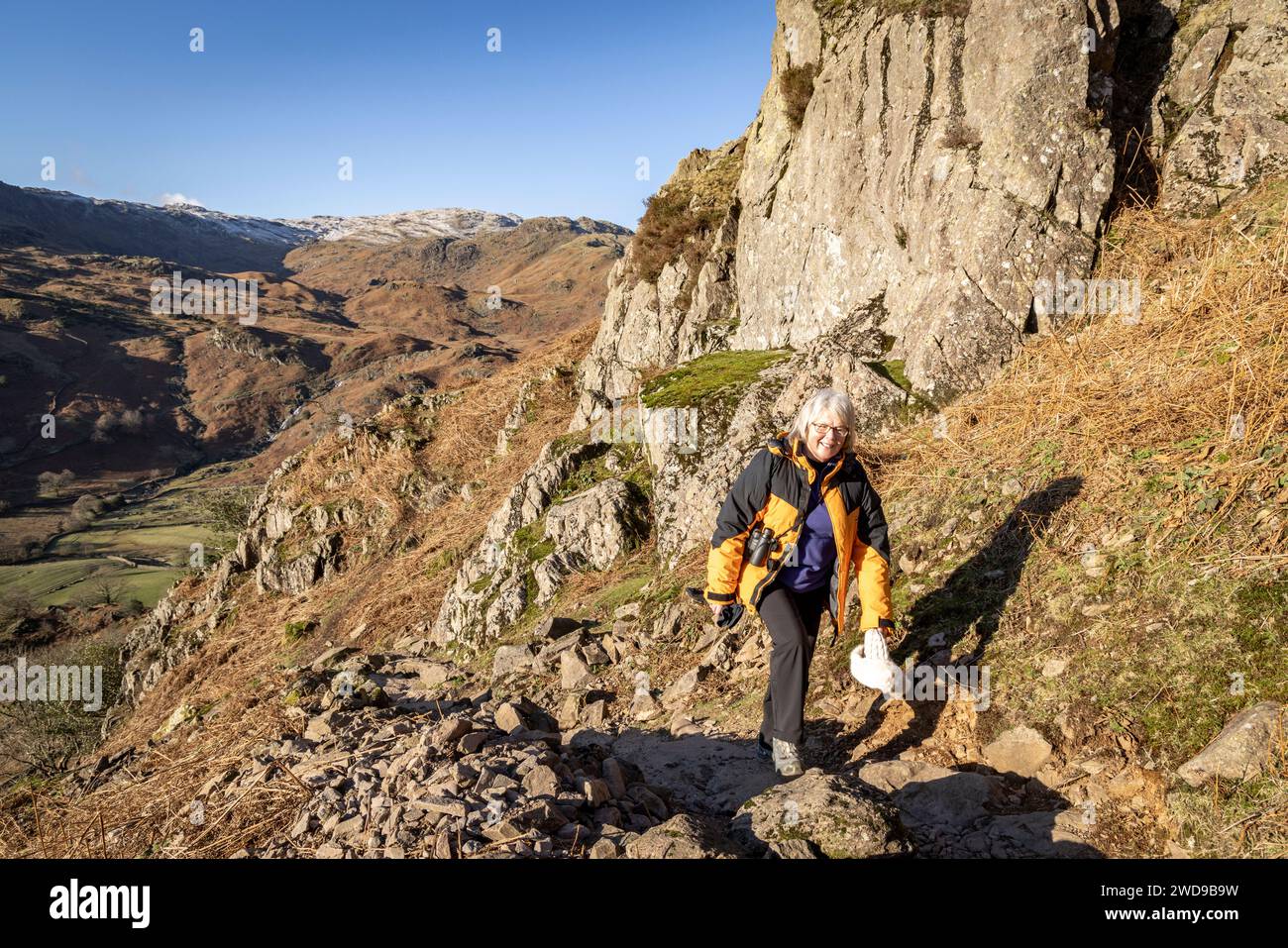 Views from Helm Crag, Lake District, Cumbria, England, UK, GB, Europe. Stock Photo