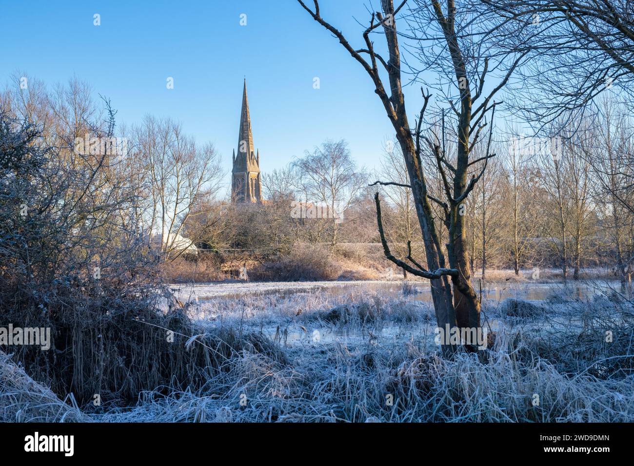 Parish Church of St Peter & St Paul in the january frost. Upton upon Severn, Worcestershire, England Stock Photo