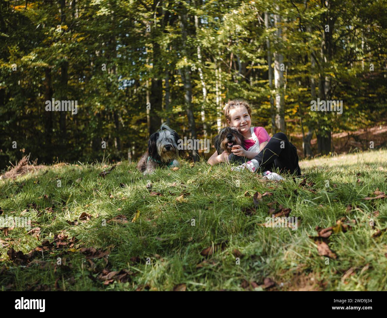 Family with two dogs sitting on green lawn hi-res stock photography and ...