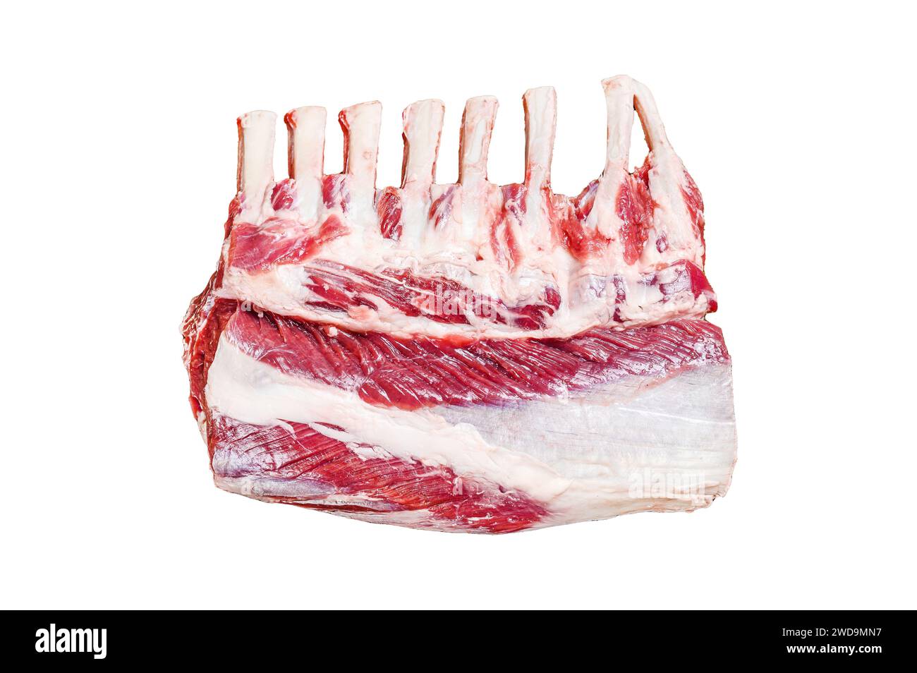 Raw Lamb ribs rack Isolated on white background, Top view Stock Photo ...