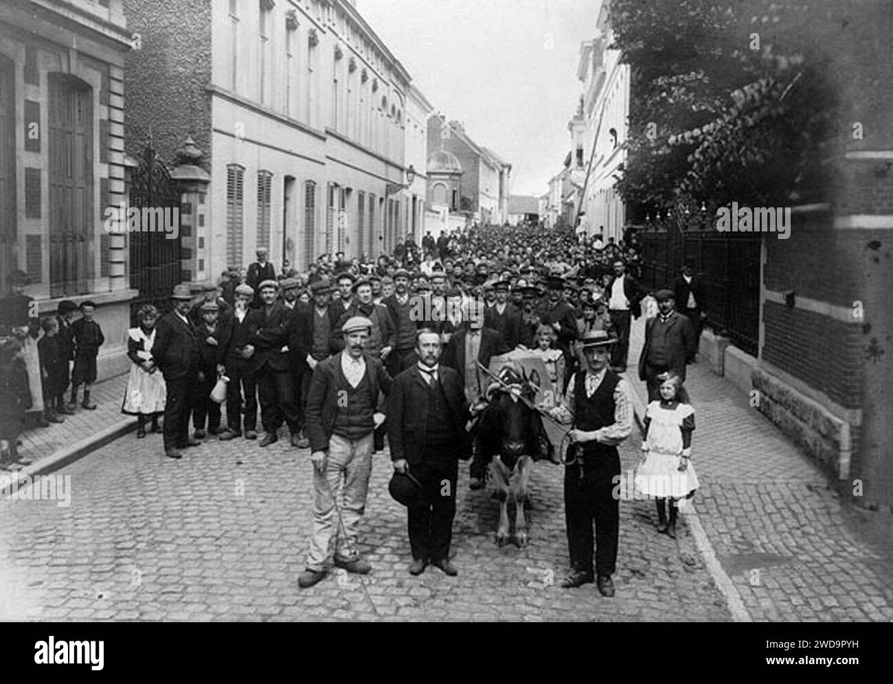 1907 strike at Beernaerts, Wetteren - workers march through Wetteren with a cow given by the Aalst socialists. Stock Photo