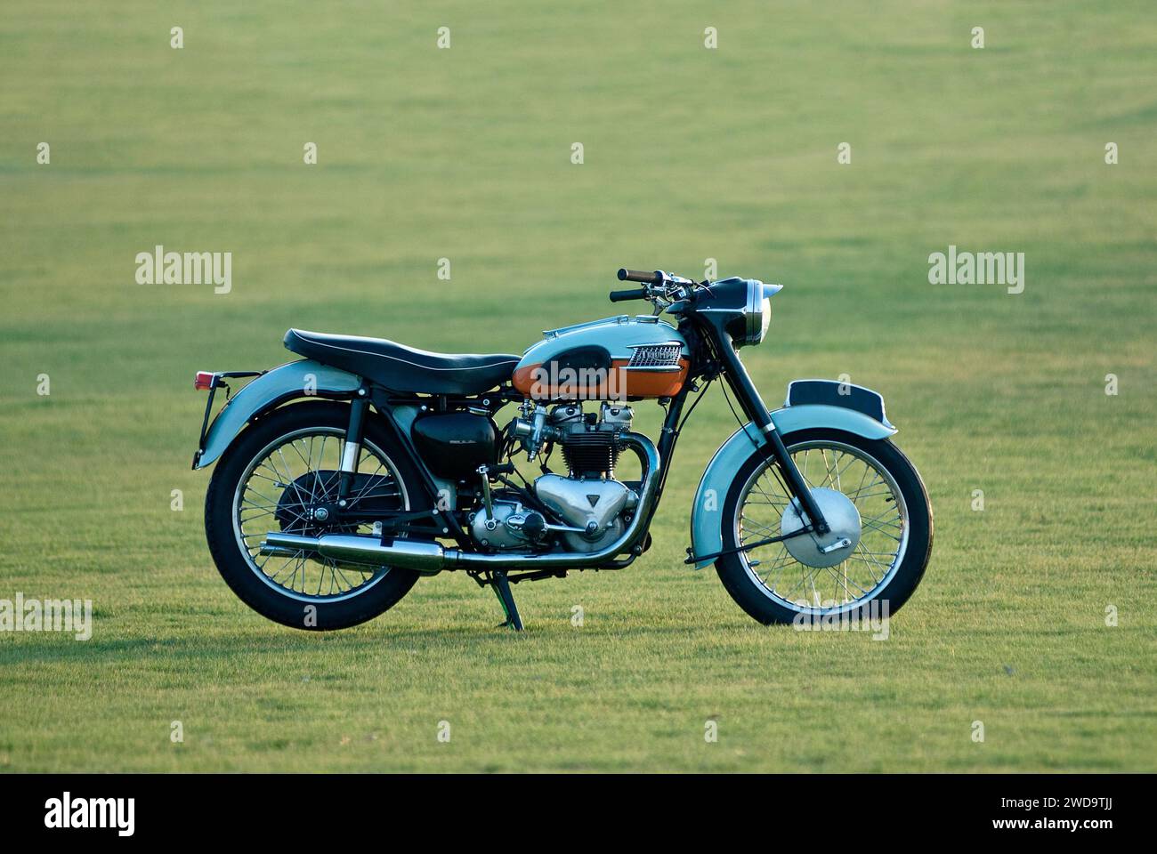 Triumph 2024 bonneville 120t