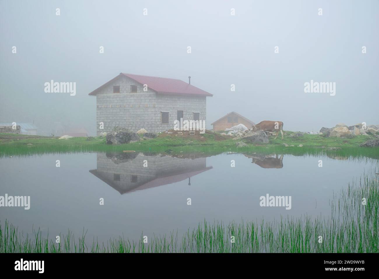 Foggy day in pass hi-res stock photography and images - Alamy