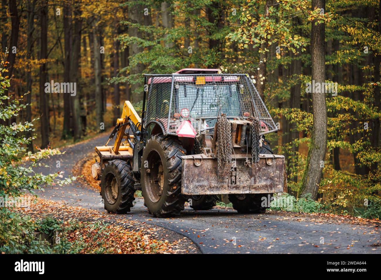 Tractor with grapple on road in forest. Lumber industry. Heavy