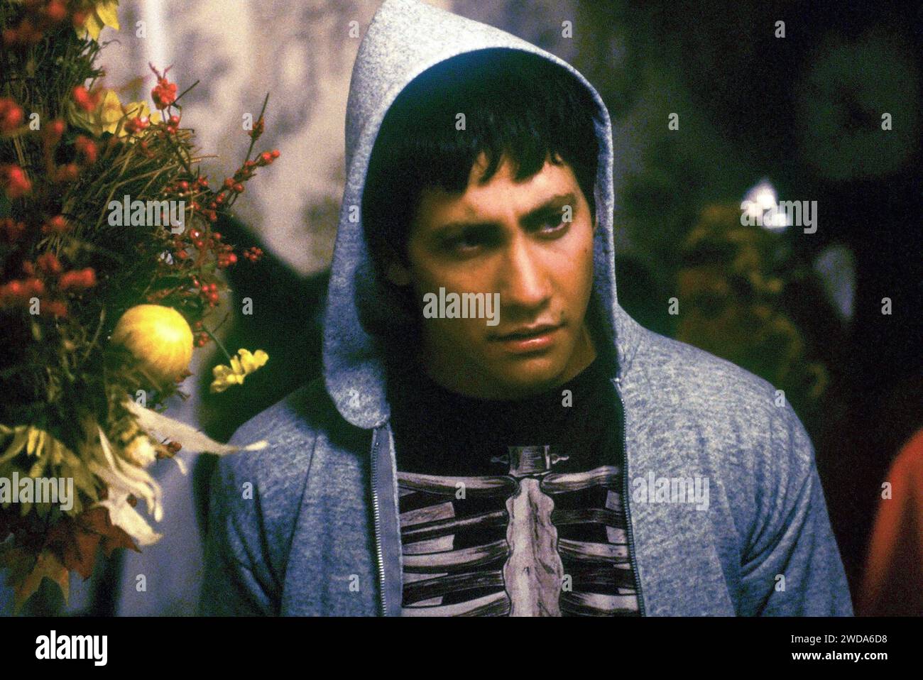 Jake Gyllenhaal, 'Donnie Darko' (2001). Photo credit: Pandora Cinema (File Reference # 34580-602THA) Stock Photo