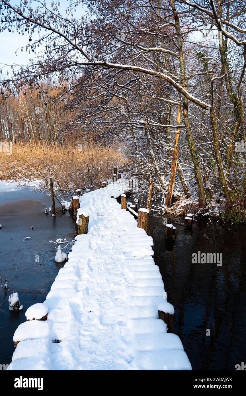 Biodiversity Haff Reimech, wetland and nature reserve in Luxembourg ...