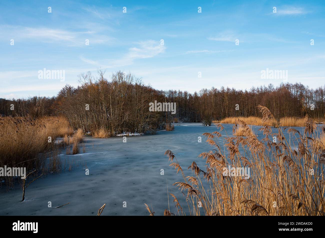 Biodiversity Haff Reimech, wetland and nature reserve in Luxembourg ...