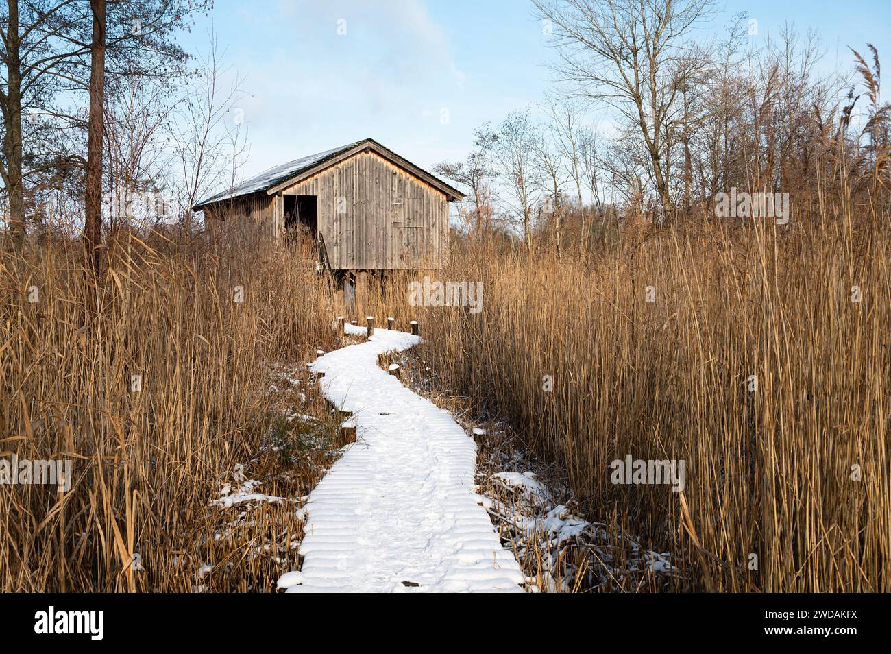 Biodiversity Haff Reimech, wetland and nature reserve in Luxembourg ...