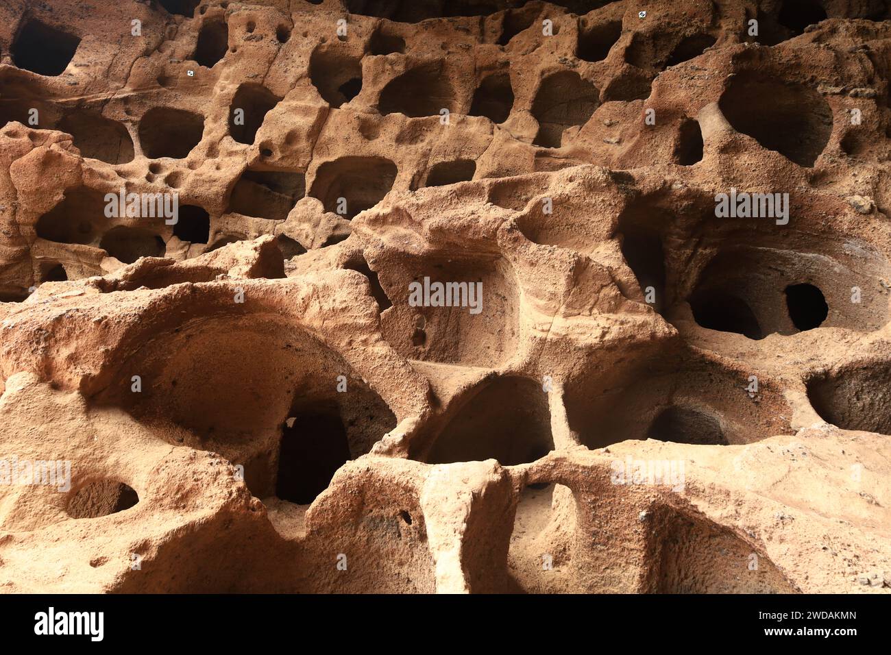 Cenobio de valeron is an archaeological site located north of Gran ...