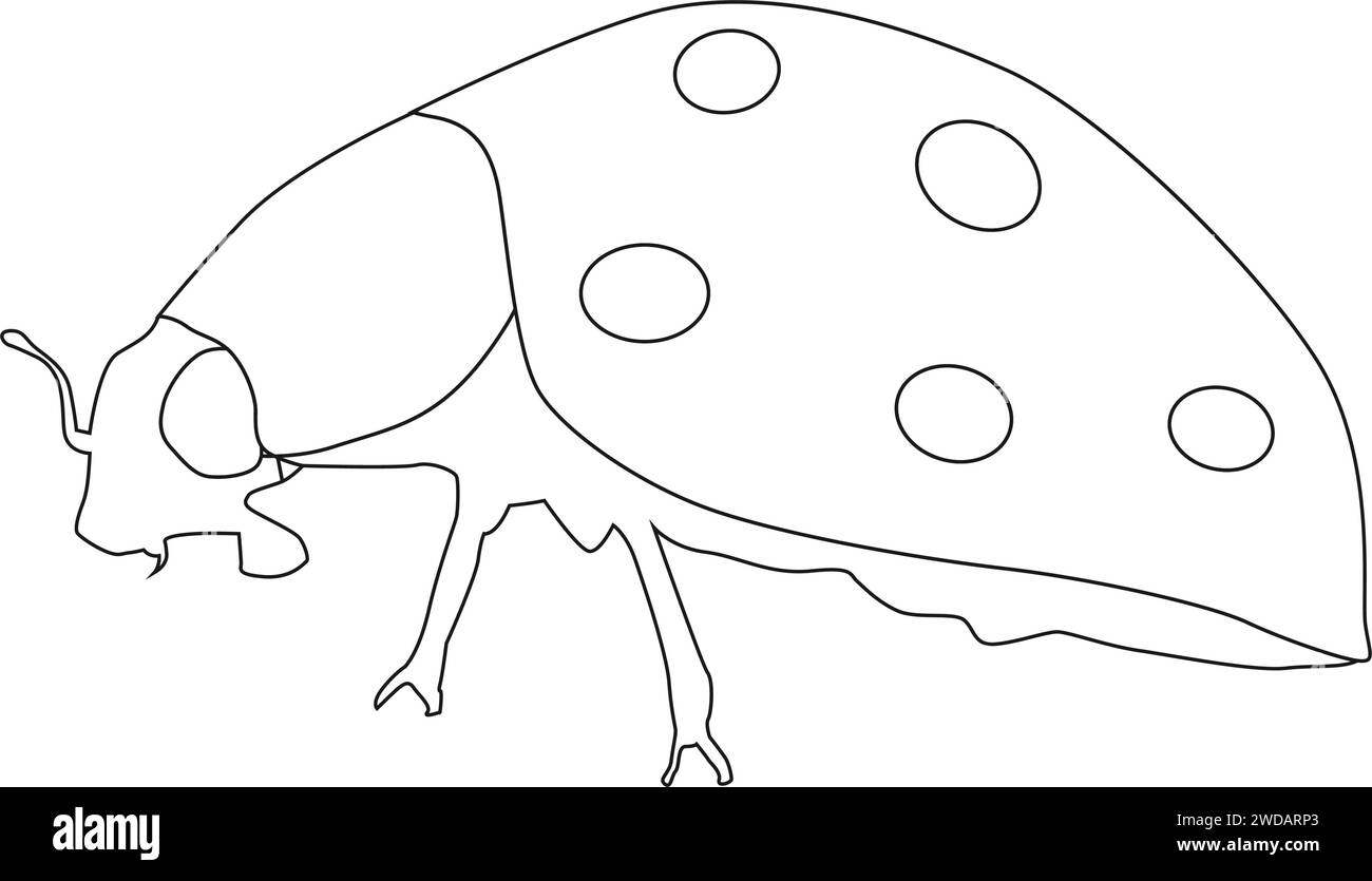 ladybug icon vector illustration design Stock Vector Image & Art - Alamy