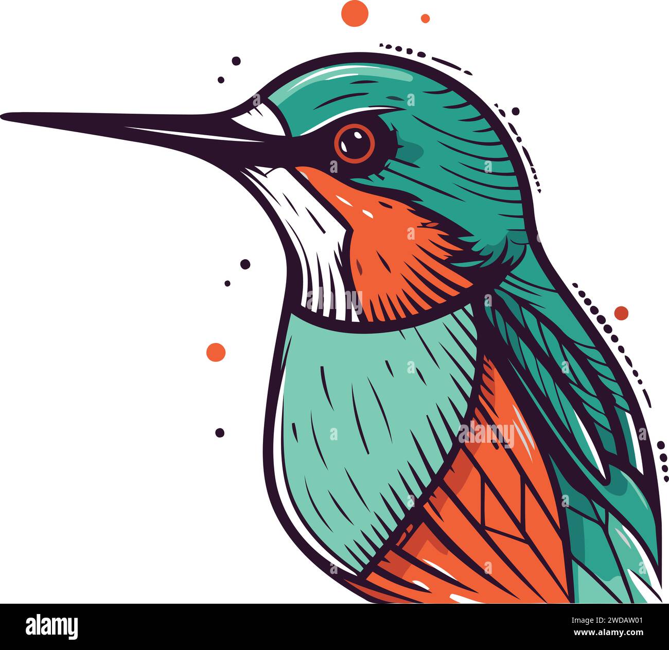 Hand drawn illustration kingfisher Stock Vector Images - Alamy