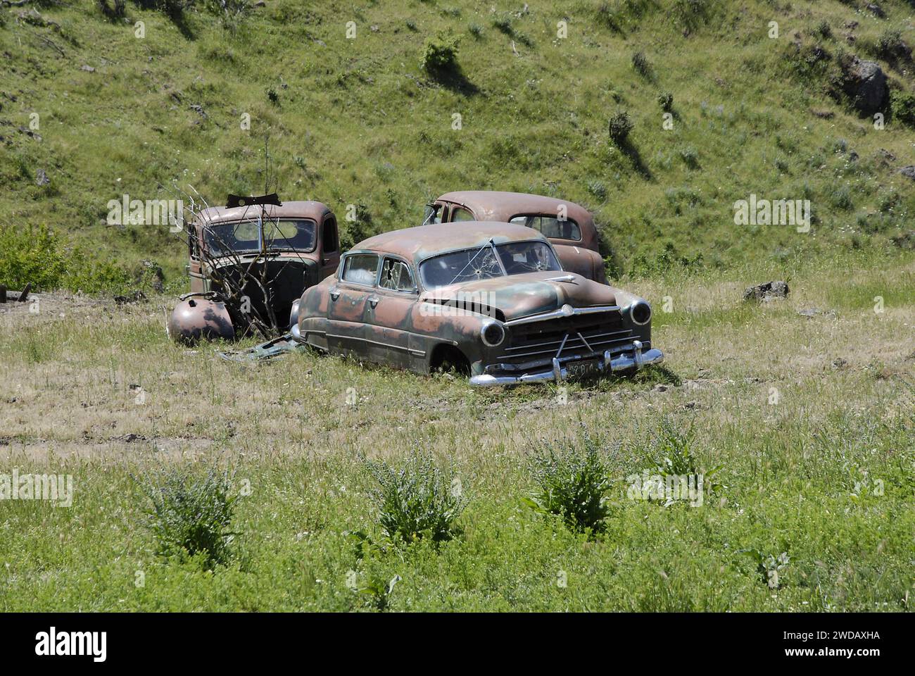 JULIAETTA /IDAHO/USAOld junk min backyar 08 JUNE 2014 (Photo by