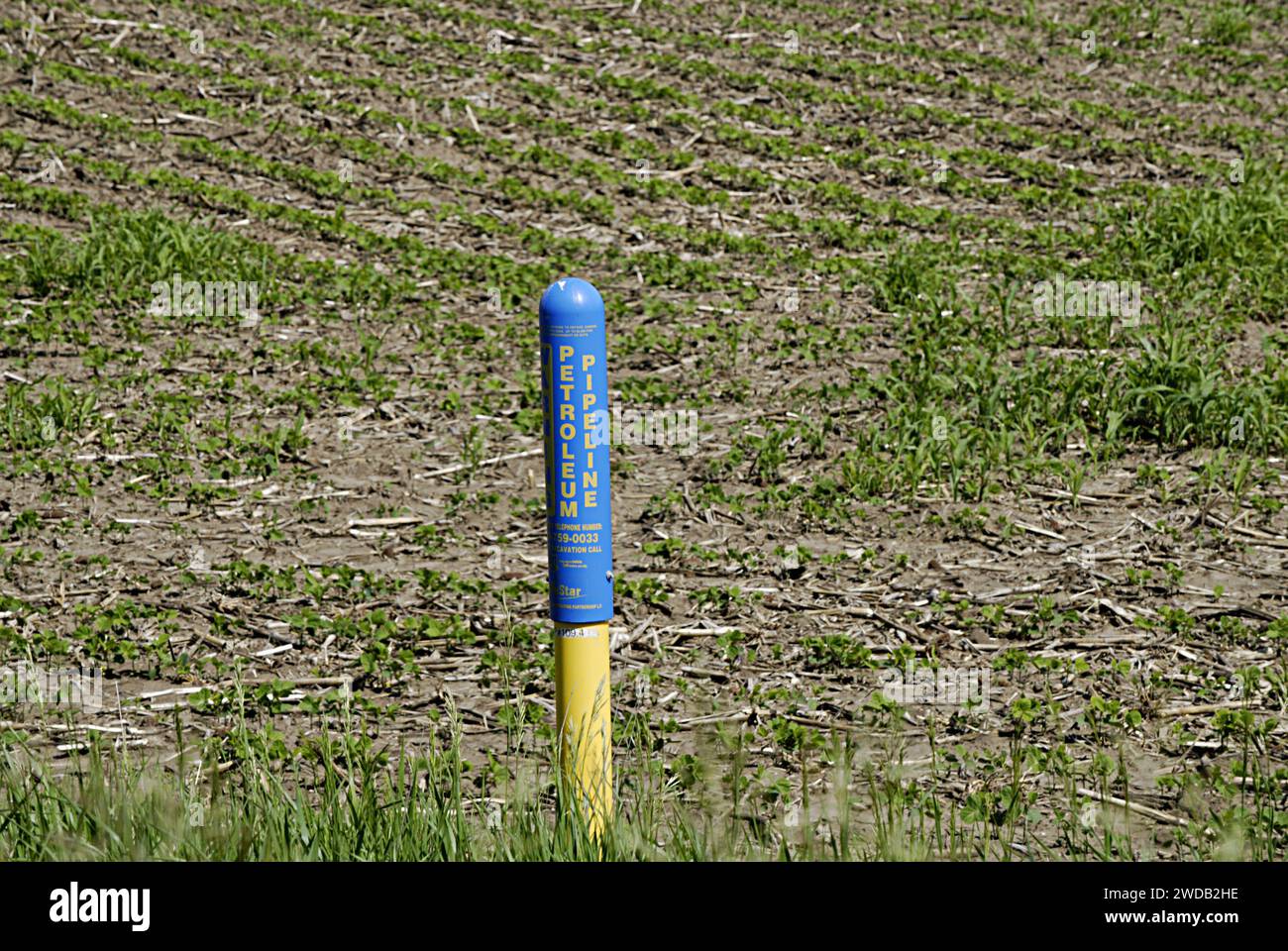 FIELDS / PLYMOUTH COUNTY/IOWA /USAPetroleum pipeline and gas line run