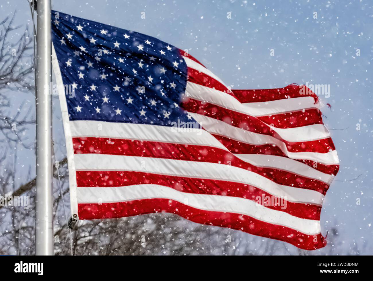 American flag flapping in the wind during a snow squall in Mecosta County, Michigan, USA Stock Photo