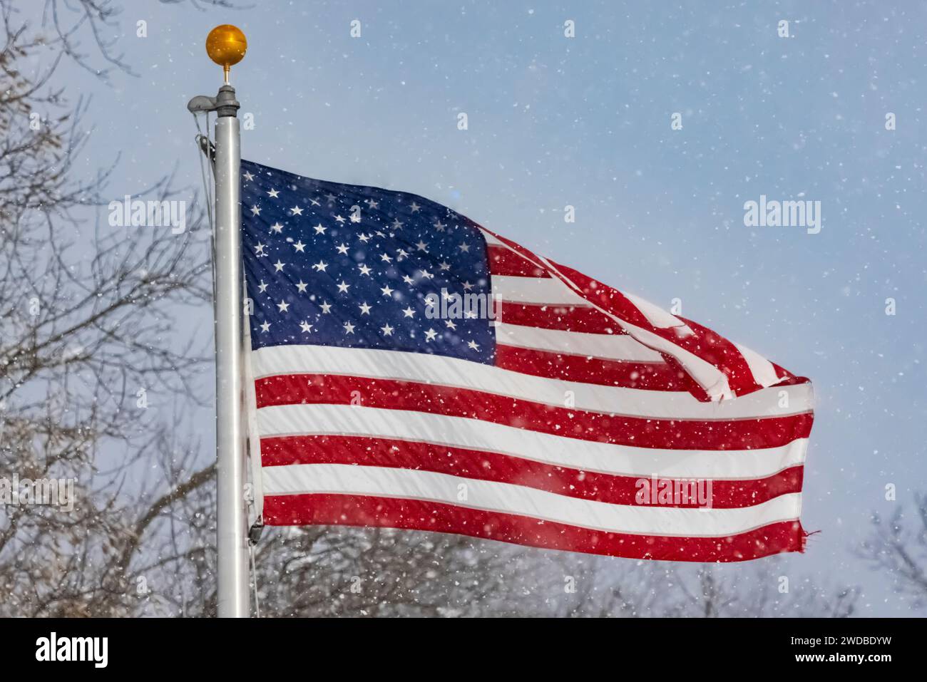 American flag flapping in the wind during a snow squall in Mecosta County, Michigan, USA Stock Photo