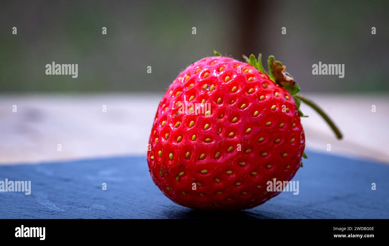 Close up of fresh strawberry showing seeds achenes. Details of a fresh ...