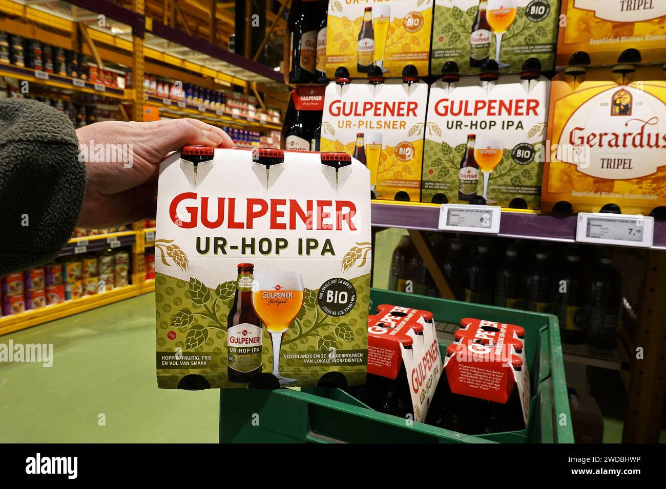 Sixpack Gulpener beer in a store Stock Photo