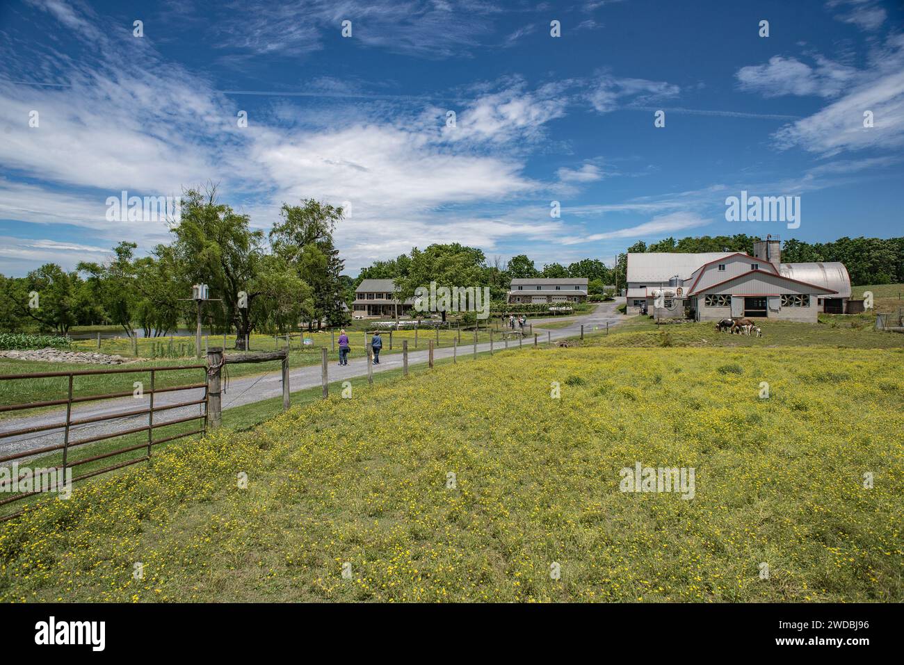 Actual farm location, Amish country, Lancaster, PA. where the movie