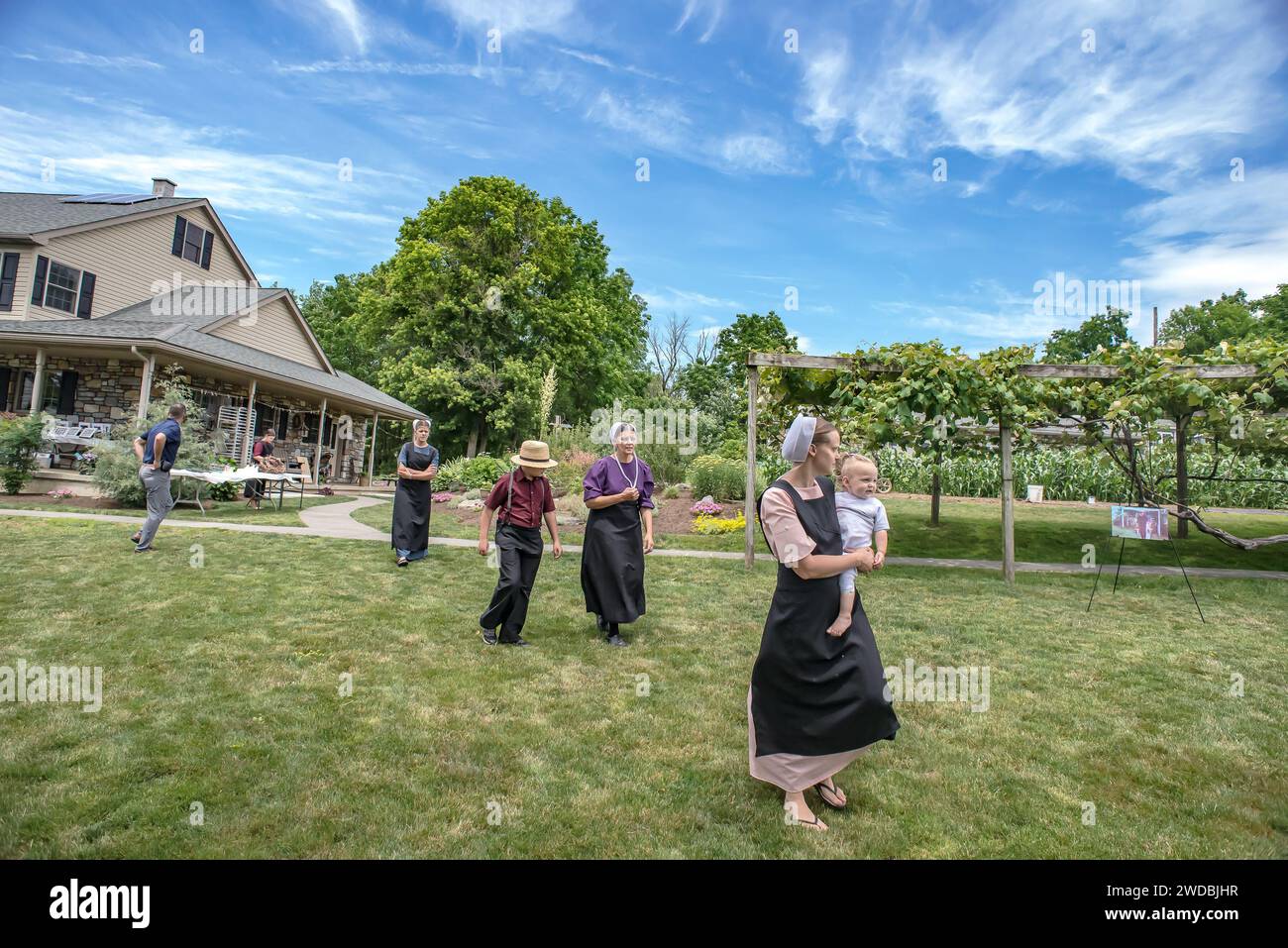 Actual Farm Location, Amish Country, Lancaster, PA. Where The Movie ...