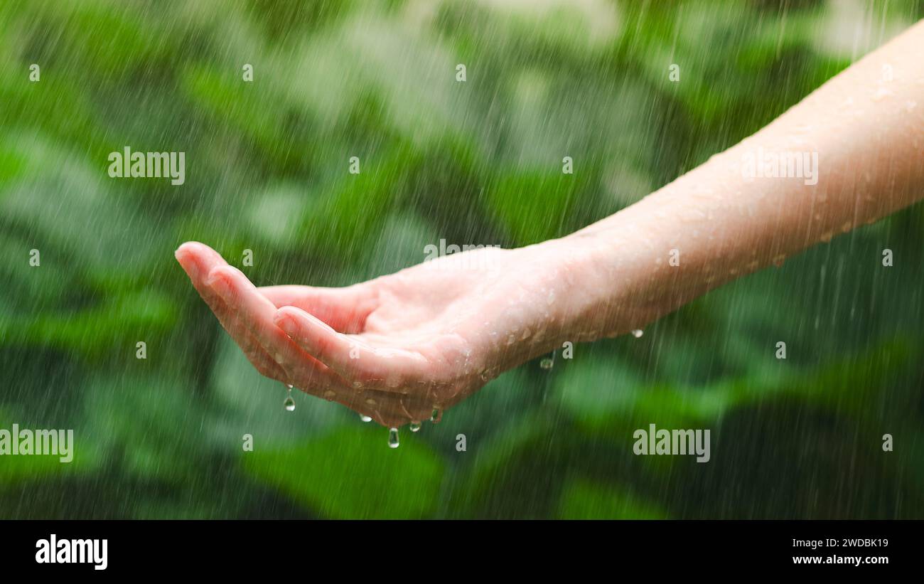 Close up of female hand in the rain with water drops on green blurred background. Stock Photo