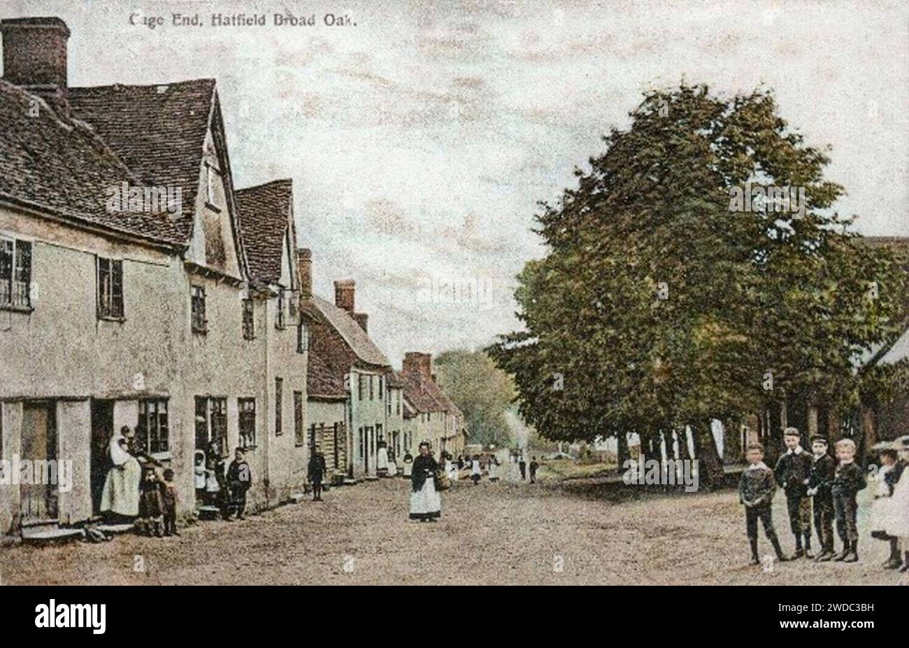 Hatfield Broad Oak Cage End Essex England pre1907 colorized Palette