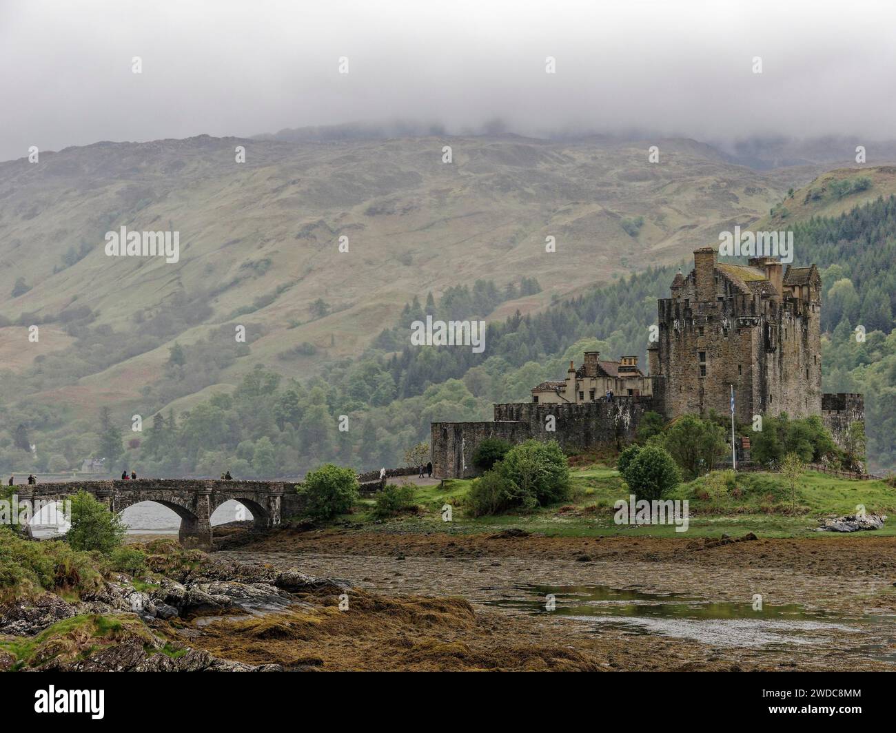 Medieval castle next to a river with a stone bridge, surrounded by ...