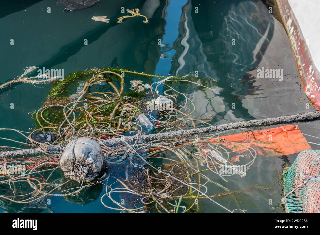 Various sizes of rope floating on surface of water and reflections of ...