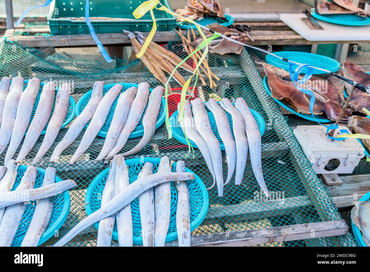 Fish on blue plastic plates on display for sale at seaport fish market ...