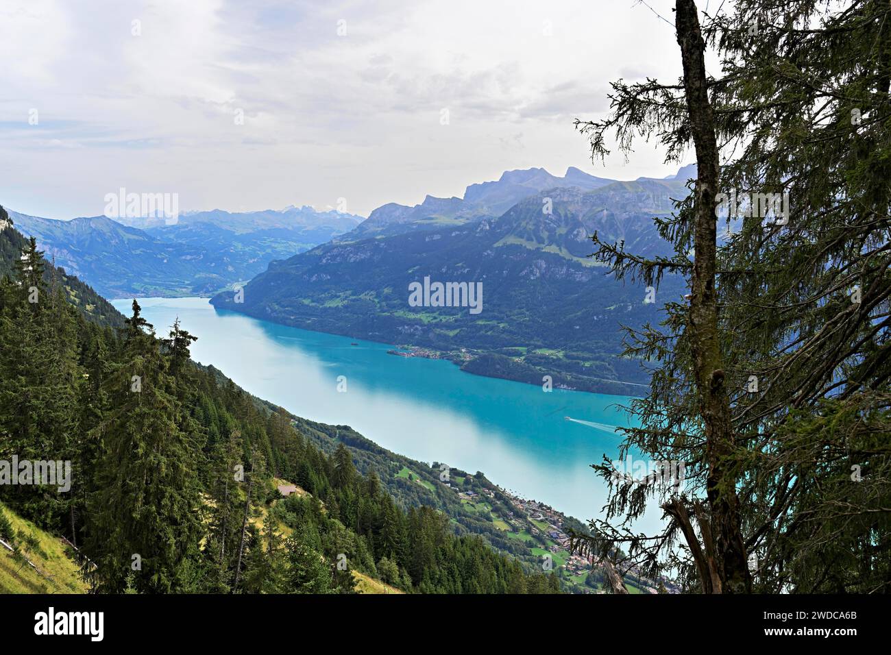 Lake brienz view from hi-res stock photography and images - Alamy