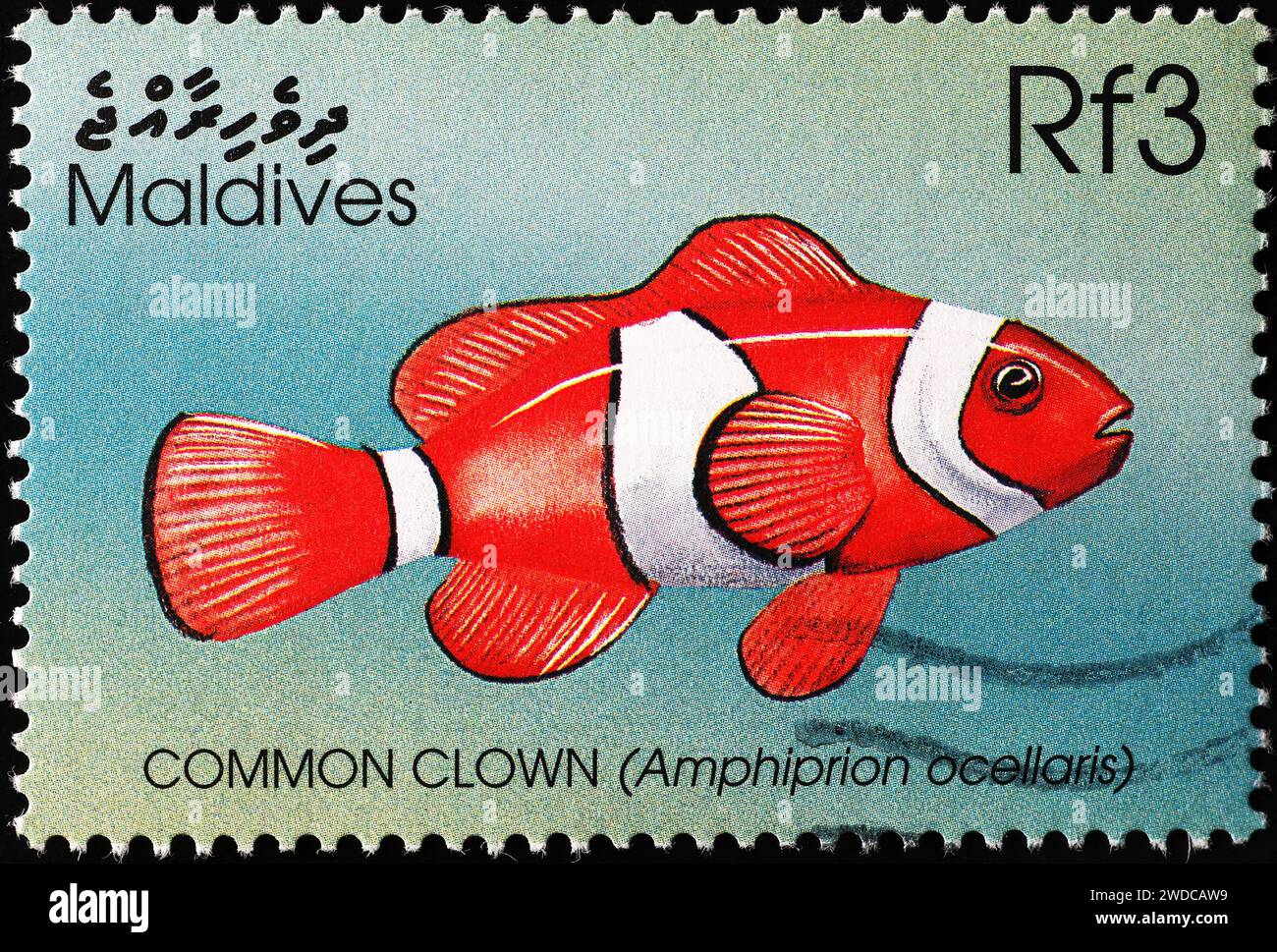 Common clownfish on postage stamp from Maldives Stock Photo