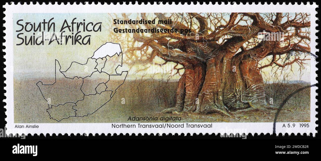 Giant baobab on postage stamp from South Africa Stock Photo