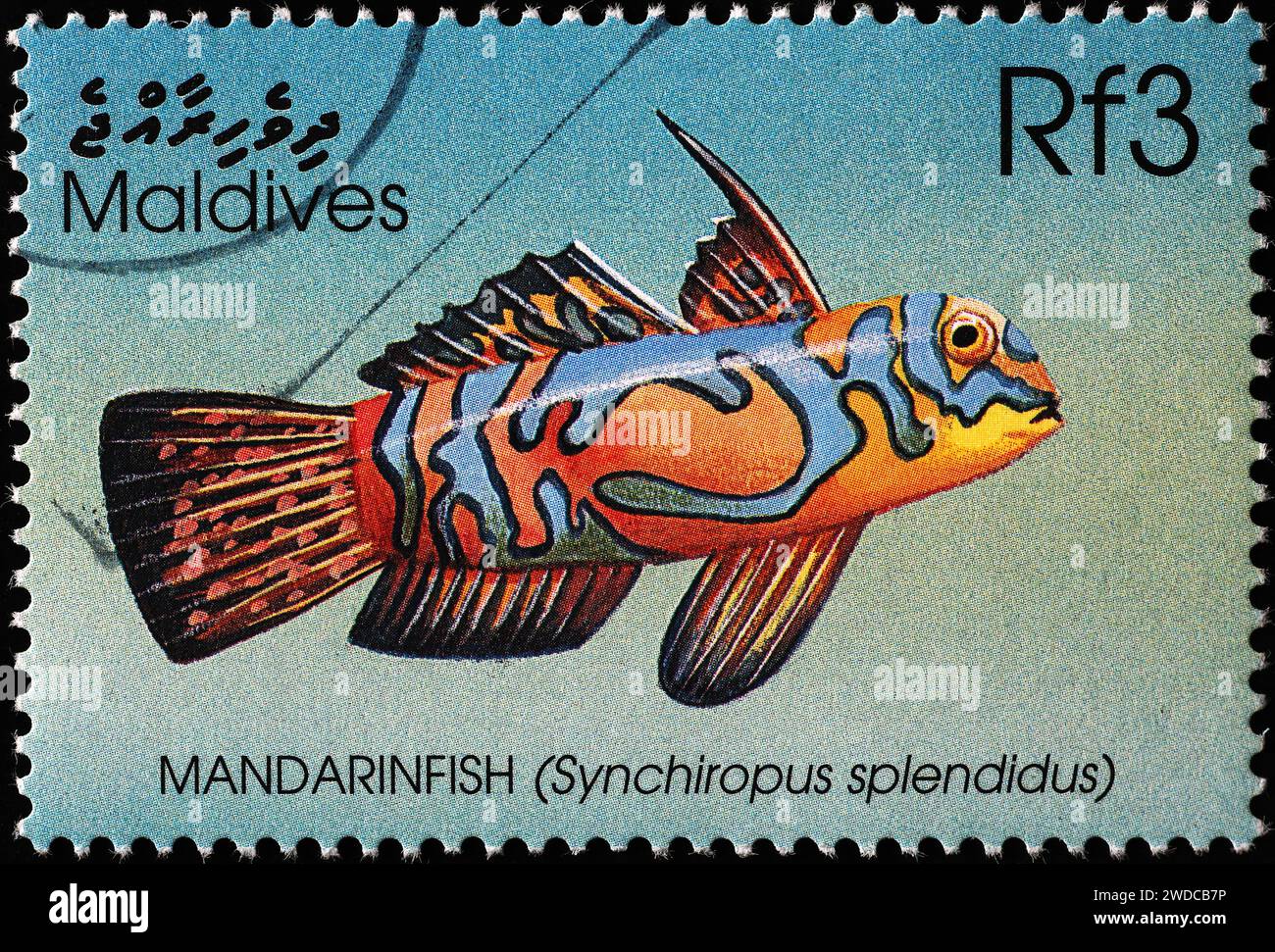 Mandarinfish on postage stamp from Maldives Stock Photo