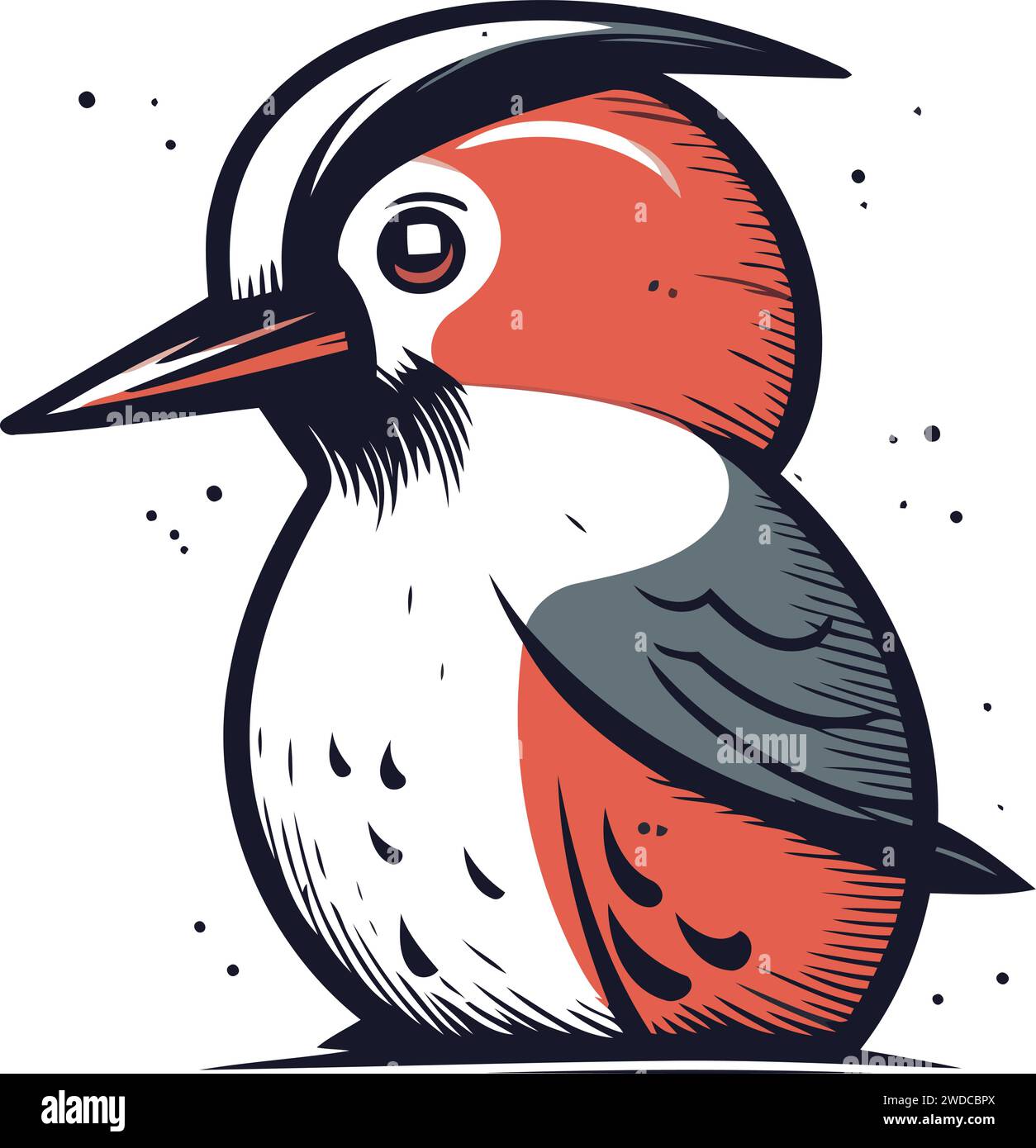 Red bellied Woodpecker. Hand drawn vector illustration Stock Vector