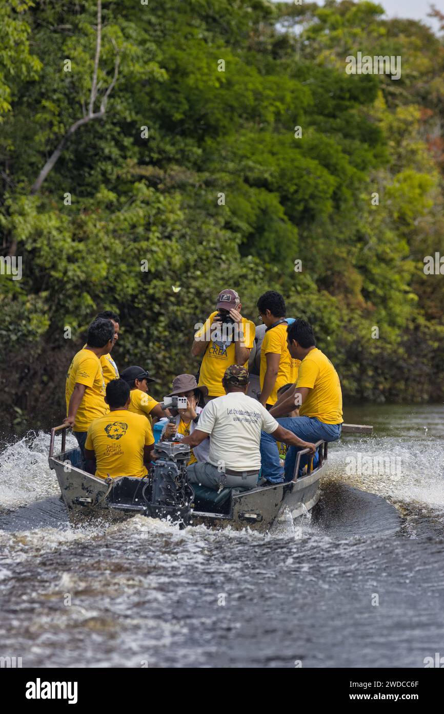 Transportingthemanatees hi-res stock photography and images - Alamy