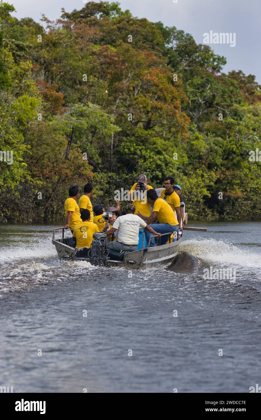 Transporting the Amazonian manatees to the release site Stock Photo - Alamy